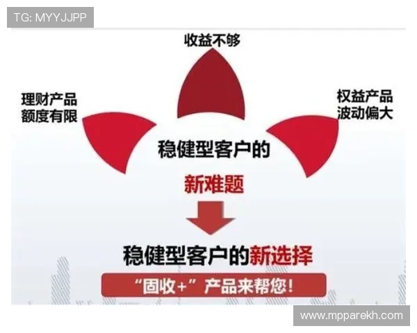 掌握百家家乐玩法技巧实现游戏中稳健盈利的实用策略与操作建议